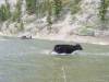 Filename=OPT_DSC01424.jpg
Filesize=84KiB
Dimensions=640x480
Date added=Aug 16, 2005 OPT_DSC01424.jpg