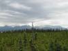 DSC01066.jpg