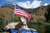 Filename=DSC00202.JPG
Filesize=1477KiB
Dimensions=1600x1070
Date added=Jul 28, 2014 DSC00202.JPG