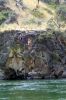 Filename=DSC00226.JPG
Filesize=399KiB
Dimensions=475x711
Date added=Jul 28, 2014 DSC00226.JPG