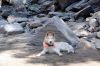 Filename=DSC00394.JPG
Filesize=1627KiB
Dimensions=1600x1070
Date added=Jul 28, 2014 DSC00394.JPG
