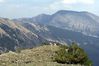 IMG_5515.jpg