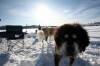 Filename=IMG_7324.jpg
Filesize=434KiB
Dimensions=1200x800
Date added=Jan 20, 2012 IMG_7324.jpg