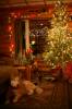 Filename=IMG_7431.jpg
Filesize=494KiB
Dimensions=800x1200
Date added=Jan 20, 2012 IMG_7431.jpg