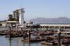 Filename=SF_0067.jpg
Filesize=109KiB
Dimensions=1024x683
Date added=Oct 11, 2005 SF_0067.jpg
