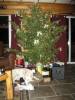 Filename=Xmas 2006 031.jpg
Filesize=43KiB
Dimensions=360x480
Date added=Jan 03, 2007 Xmas 2006 031.jpg