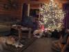 Filename=Xmas 2006 033.jpg
Filesize=59KiB
Dimensions=640x480
Date added=Jan 03, 2007 Xmas 2006 033.jpg