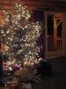 Filename=Xmas 2006 040.jpg
Filesize=37KiB
Dimensions=360x480
Date added=Jan 03, 2007 Xmas 2006 040.jpg