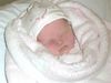 Filename=Sophia_front_view.jpg
Filesize=65KiB
Dimensions=800x600
Date added=Feb 27, 2008 Sophia_front_view.jpg