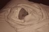 Filename=baby_pictures_004b.jpg
Filesize=45KiB
Dimensions=800x533
Date added=Feb 27, 2008 baby_pictures_004b.jpg