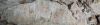 Filename=20150529_133232_28Medium29.jpg
Filesize=181KiB
Dimensions=1366x342
Date added=Jun 13, 2015 20150529_133232_28Medium29.jpg