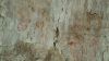 Filename=20150529_133419_28Medium29.jpg
Filesize=397KiB
Dimensions=1365x768
Date added=Jun 13, 2015 20150529_133419_28Medium29.jpg
