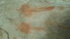 Filename=20150529_133818_28Medium29.jpg
Filesize=241KiB
Dimensions=1365x768
Date added=Jun 13, 2015 20150529_133818_28Medium29.jpg