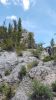 Filename=20150529_135522_28Medium29.jpg
Filesize=430KiB
Dimensions=768x1365
Date added=Jun 13, 2015 20150529_135522_28Medium29.jpg