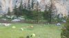 Filename=20150529_192043_28Medium29.jpg
Filesize=312KiB
Dimensions=1365x768
Date added=Jun 13, 2015 20150529_192043_28Medium29.jpg