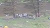 Filename=20150529_193209_28Medium29.jpg
Filesize=232KiB
Dimensions=1365x768
Date added=Jun 13, 2015 20150529_193209_28Medium29.jpg