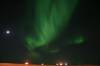 Filename=Aurora.JPG
Filesize=22KiB
Dimensions=800x533
Date added=Apr 13, 2007 Aurora.JPG