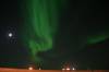 Filename=Borealis.JPG
Filesize=22KiB
Dimensions=800x533
Date added=Apr 13, 2007 Borealis.JPG
